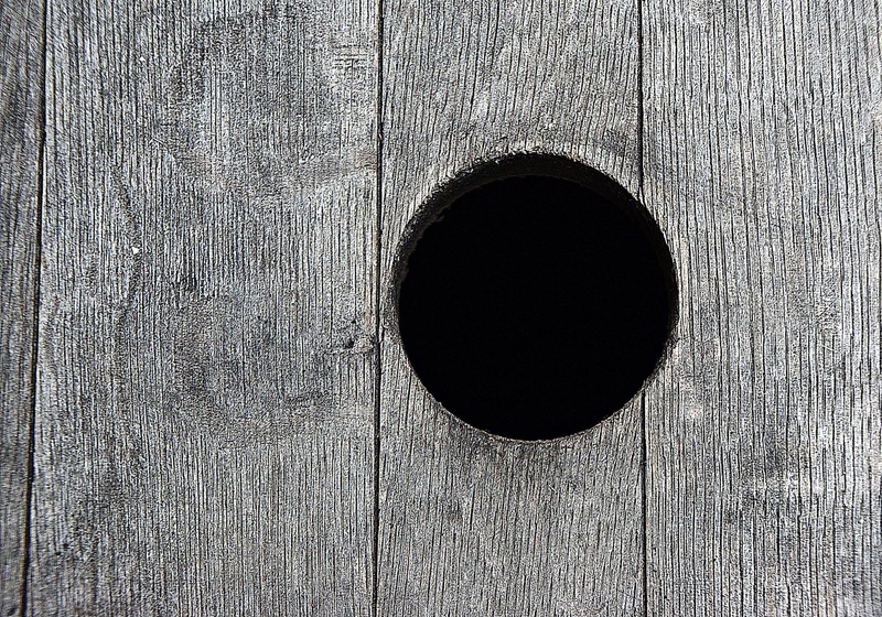 1080P, black color, circle, wood grain, wood - material, textured effect, directly above, no people, shape, pattern, hole, day, backgrounds, close-up