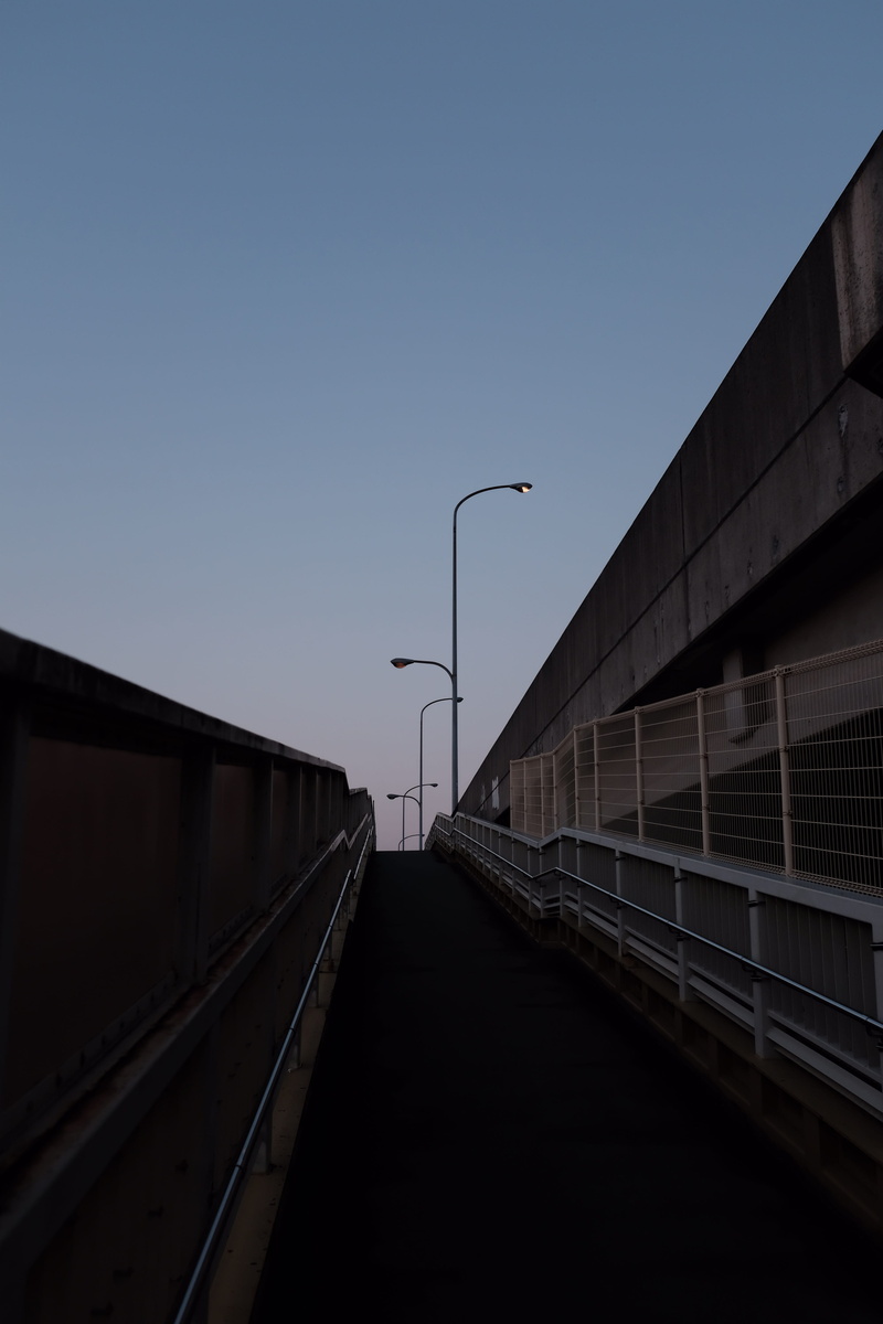 nature, transportation, diminishing perspective, lamp post, the way forward, bridge, handrail, track, banister, architecture, outdoors, way, mode of transportation
