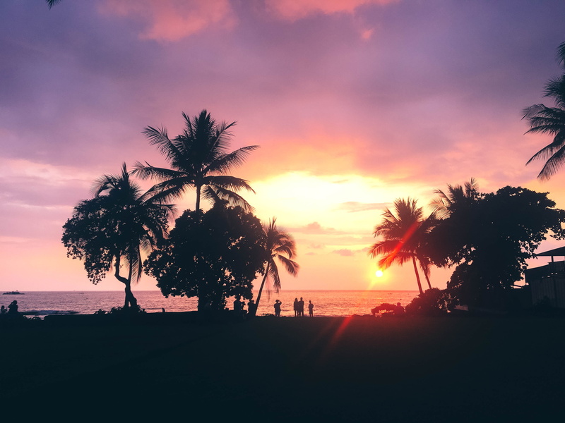 silhouette, palm tree, cloud - sky, horizon over water, palm trees, outdoors, tree, scenics - nature, land, tropical climate, coconut palm tree, romantic sky