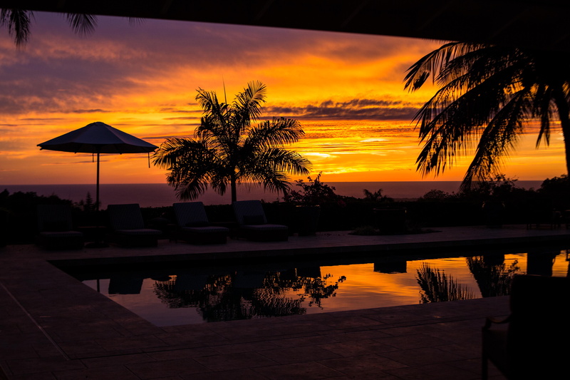 vacation, palm tree, hawaii, no people, sky, cloud - sky, scenics - nature, water, tree, plant, tranquility, ocean, beauty in nature, tropical climate