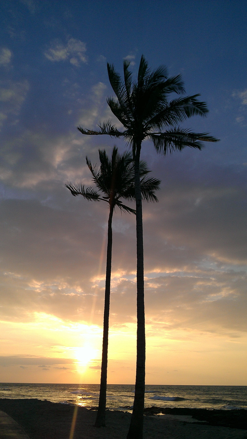 tranquil scene, silhouette, nature, palm tree, sunset, horizon, kailua-kona, tree trunk, land, tropical tree, sea, cloud - sky, scenics - nature, sky, no people