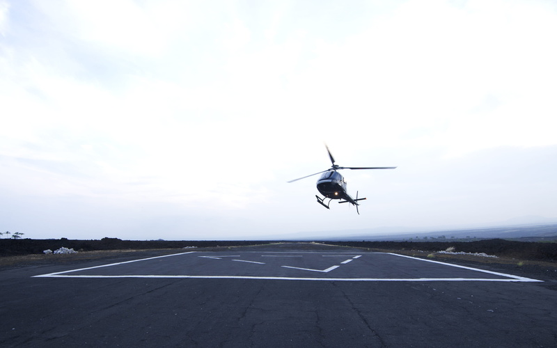 bird, aerospace industry, mid-air, no people, outdoors, 2K, hawaii, air vehicle, nature, motion, airfield, sky, cloud - sky, kailua kona, road, helicopter