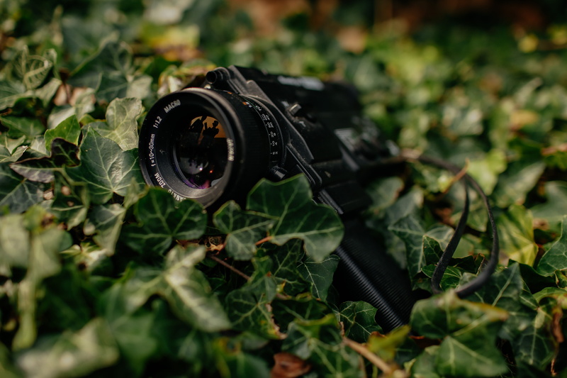 no people, electronics, ivy, photography themes, 5K, close-up, camera - photographic equipment, display, plant part, lcd screen, field, day, growth, lens - optical instrument