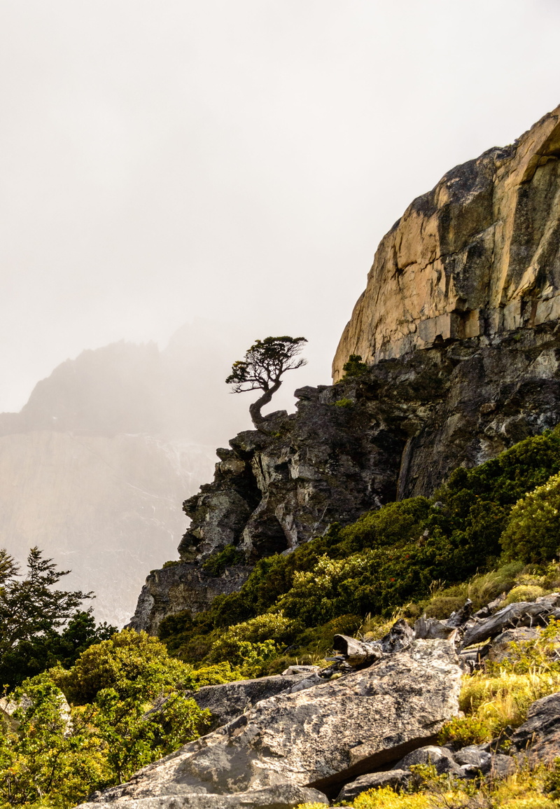 rock formation, scenics - nature, outdoors, solid, fog, nature, sky, 4K, rock - object, outdoor, cloud, earth, day, land, gray, rocky, grass, tranquility