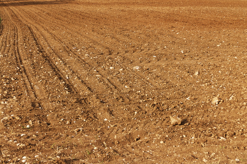 no people, high angle view, rural scene, agricultural economics, field, environment, sunlight, view, nature, steinig, earth, land, economy, agriculture