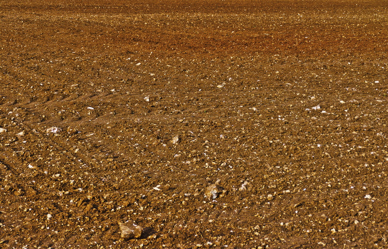 textured, full frame, environment, lines, field order, structure, day, brown, outdoors, no people, background, field, beach, tranquility, arable, high angle view