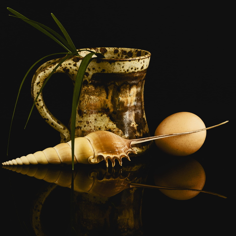 black background, handmade, seashell, ceramic, drink, food and drink, wellbeing, sea shell, no people, fruit, egg, still life, two objects, pitcher - jug