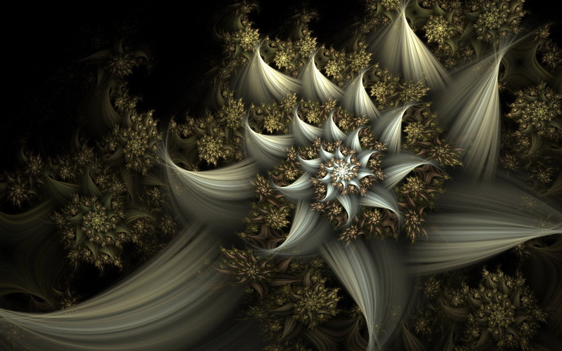 motion, blurred motion, design, patterns, white, floral, nature, tranquility, fractal, studio shot, tree, growth, light - Natural Phenomenon