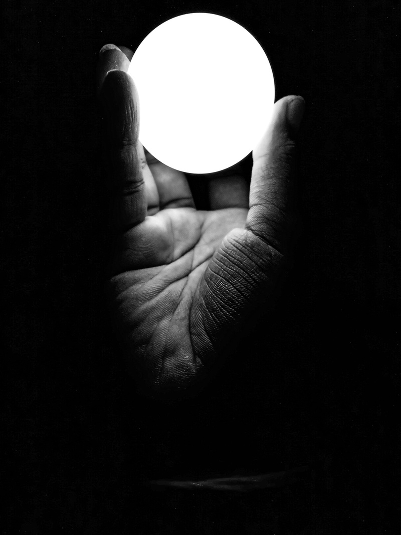 human limb, human hand, poppy, real people, christmas, human finger, indoors, holding, hand, world, detail, close-up, dark, leisure activity, black, lifestyles