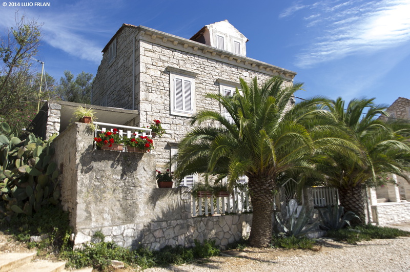building exterior, architecture, tropical climate, nature, two, palm, sky, Croatia, day, travel destinations, 4K, palm tree, no people, tree, cloud - sky