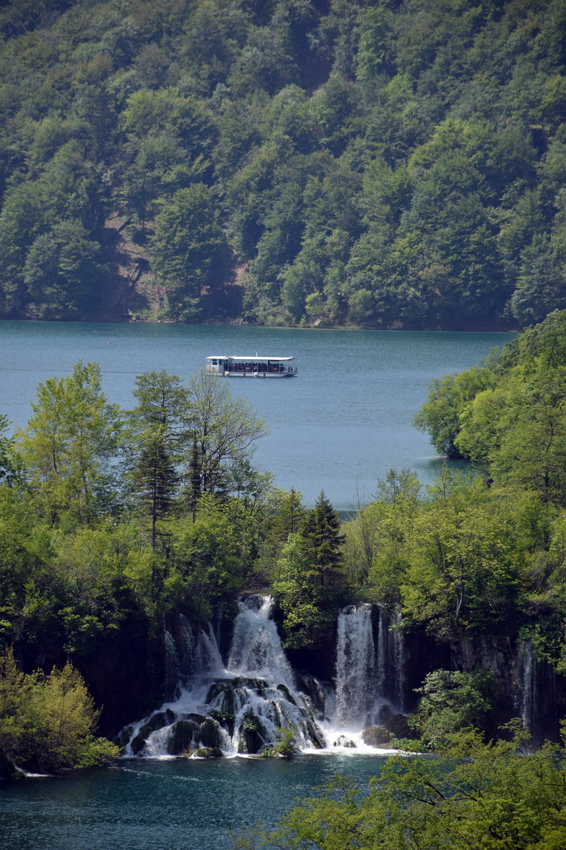 landscape, plant, land, green color, flowing water, waterfall, forest, 5K, tree, nature, summer, tranquility, motion, plitvice national park, power in nature