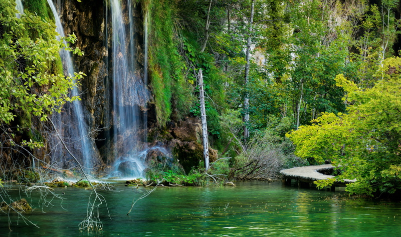 growth, non-urban scene, beauty in nature, water, flowing, woodland, power in nature, plant, rainforest, body, waterfront, forest, bridges, no people, tranquility