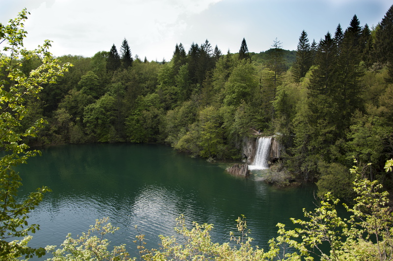 plant, no people, outdoors, hiking, flowing, nature, day, land, plitvice, croatia, plitvice lakes national park, blue, forest, green color, waterfall, water