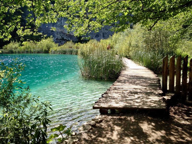 growth, sunlight, scenics - nature, water, footpath, tranquil scene, the way forward, day, no people, lake, plant, tranquility, croatia, grass, green color