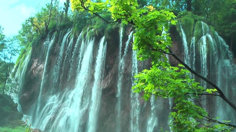 1080P, Waterfalls, Earth, Plitvice Lakes National Park, Waterfall, Rock, Branch, Green