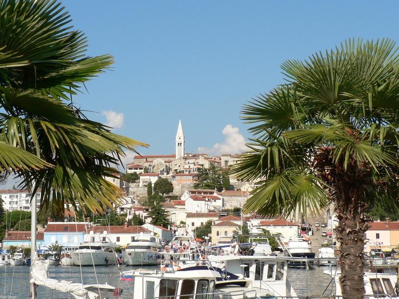 europe, water, istria, town, beach, view, coast, cityscape, palms, village, istrian, druffix, boats, 1080P, croatia