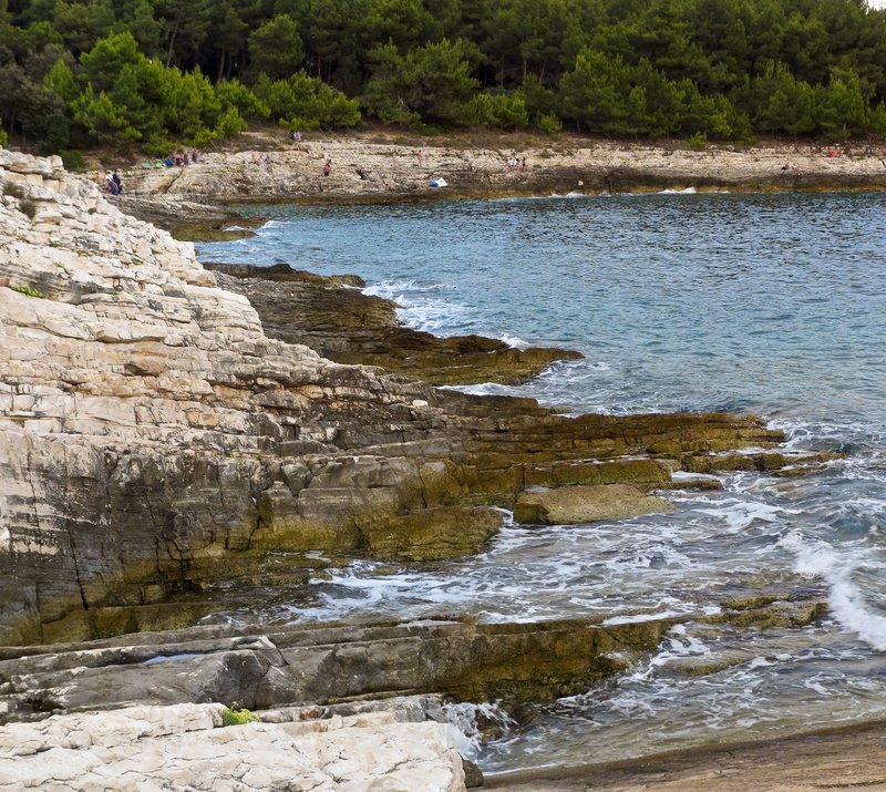 day, beauty in nature, land, motion, istria, rock - object, kamenjak, coast, flowing water, 4K, scenics - nature, outdoors, tranquility, plant, tree, non-urban scene