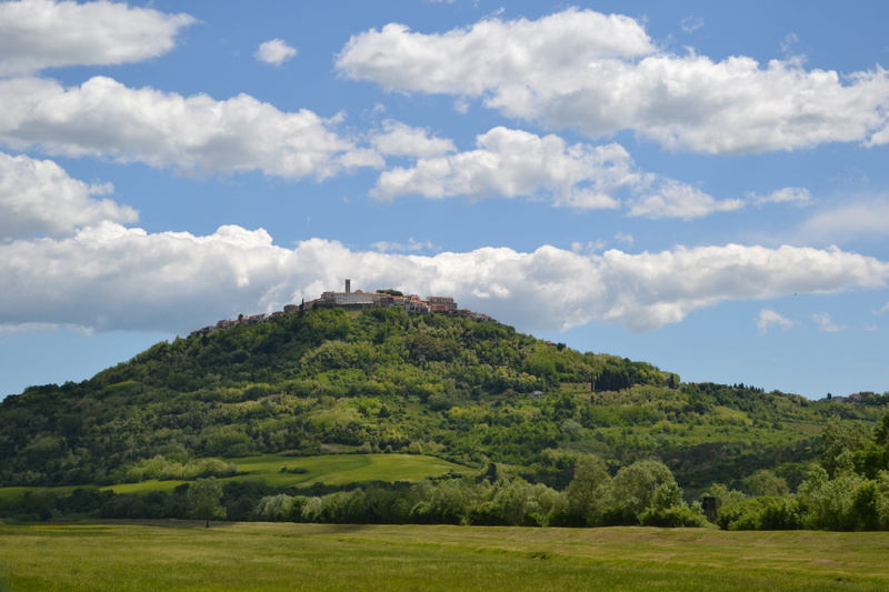building exterior, europe, field, motovun, tranquility, scenics - nature, landscape, historical, history, istria, famous, tree, plant, old, land, village