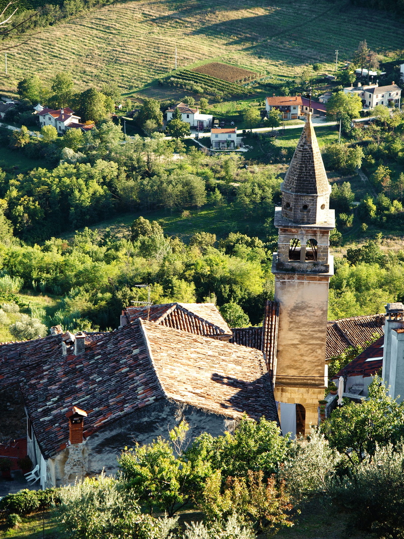 grape, roof tile, belief, road, tree, building exterior, high angle view, mediterranean, building, holiday, wine, 2K, no people, vineyards, tower, croatia