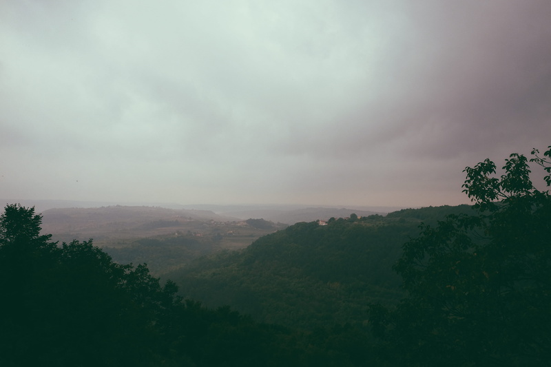 tree, idyllic, fog, mountain, groznjan, fujifilm, outdoors, green color, plant, scenics - nature, beauty in nature, istria, spooky, istra, foggy, environment