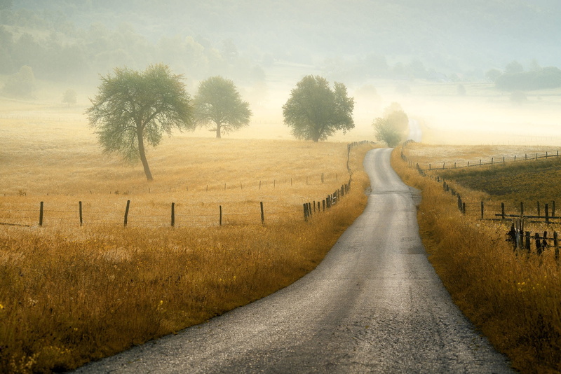 nature, 1080P, fog, Adnan Bubalo, grass, trees, road
