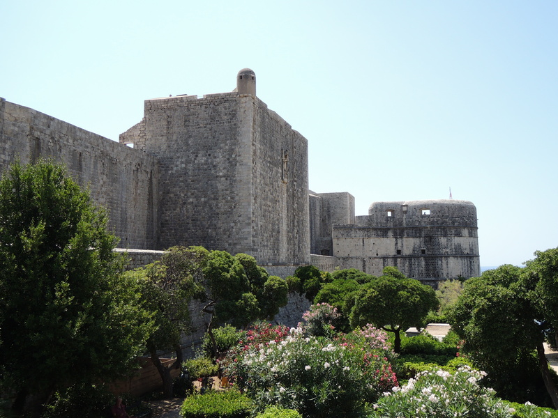 wall, building exterior, travel destinations, architecture, ancient, old town, low angle view, clear sky, dubrovnik, nature, building, tree, built structure