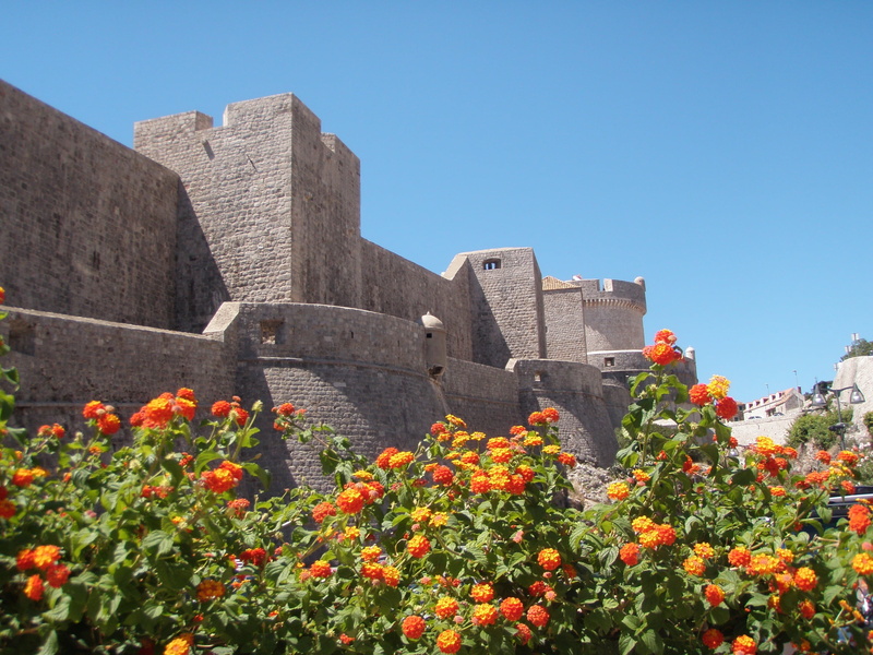 plant, outdoors, travel destinations, flower, building, building exterior, dubrovnik, 2K, no people, wall, growth, the past, day, fortified wall, the walls of the