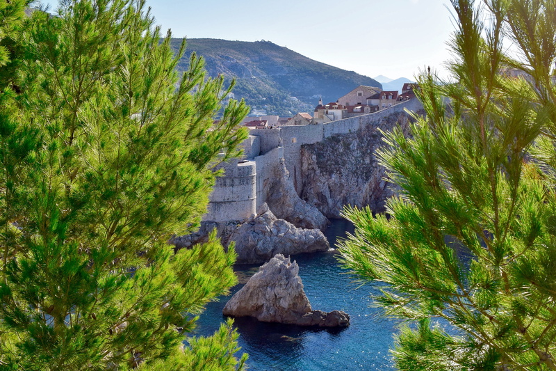 dubrovnik, tress, the past, rock, croatia, outdoors, plant, solid, 4K, rock - object, sea, tree, water, architecture, castle walls, history, land, scenics - nature