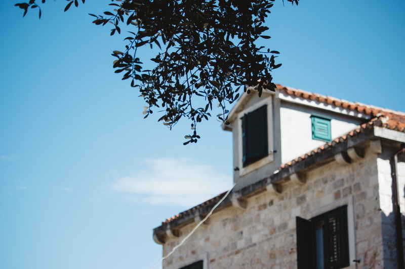 leaves, copy space, building exterior, residential district, day, low angle view, blue, window, clear sky, communication, no people, nature, sunlight, croatia