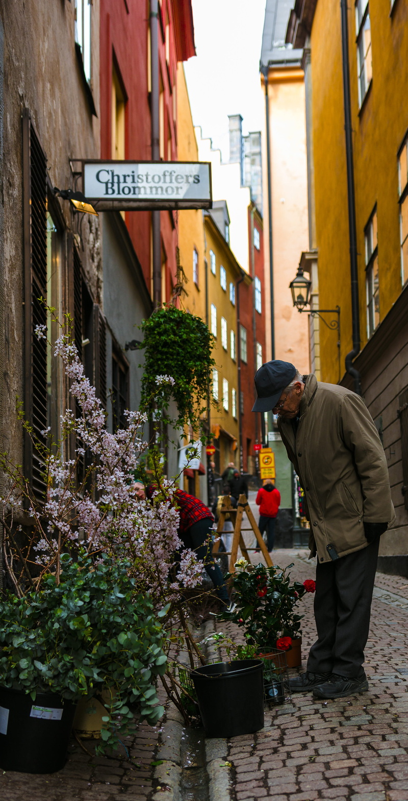 stockholm, man, person, stockolm, oldman, building, travel, sweden, 4K, one person, walking, people, building exterior, shopping, street, flowering plant