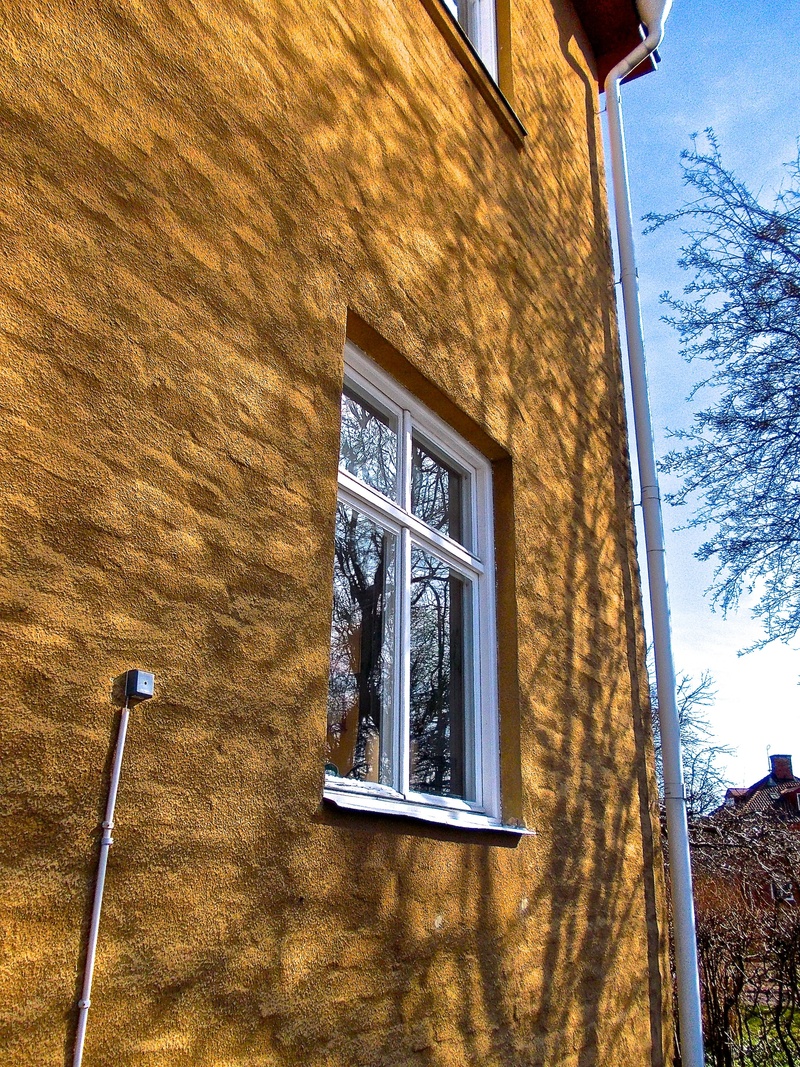 nature, building exterior, no people, outdoors, stockholm, sky, old, building, window, tree, sunlight, architecture, glass - material, day, plant, wall - building feature