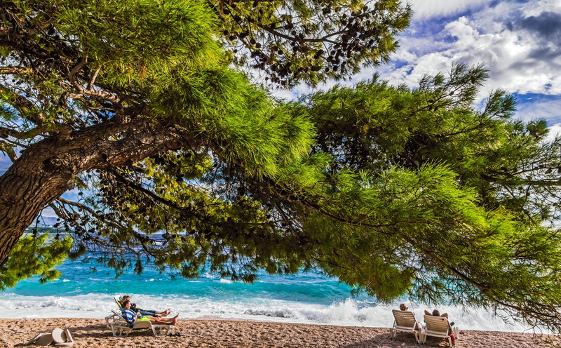 lifestyles, growth, sky, day, nature, beach, brela, green color, 5K, land, branch, Croatia, Europe, one person, leisure activity, real people, plant, men