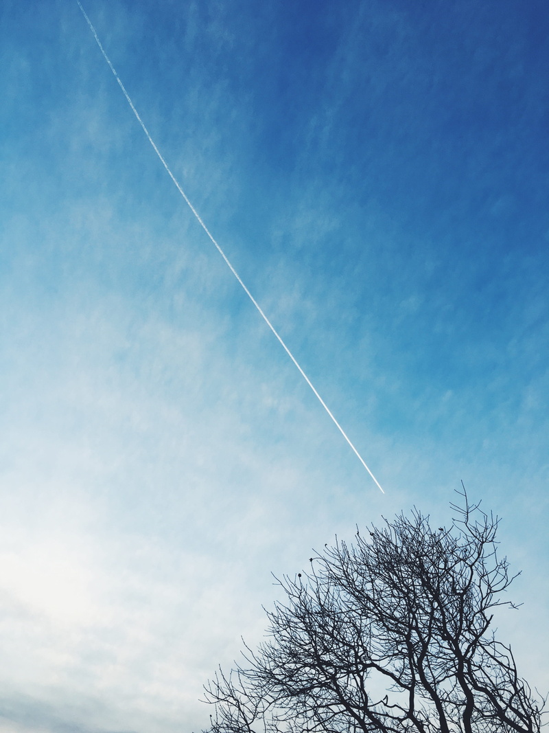 beauty in nature, low angle view, rijeka, non-urban scene, cross shape, tranquil scene, contrail, plane, tranquility, sun, spring, plant, outdoors, copy space