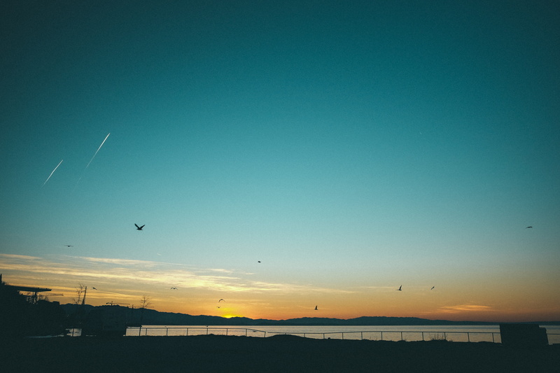 mornings, silhouette, morning, seagul, soft, tranquil scene, tranquility, 4K, transportation, sunrise, beauty in nature, lovely, summer, copy space, outdoors