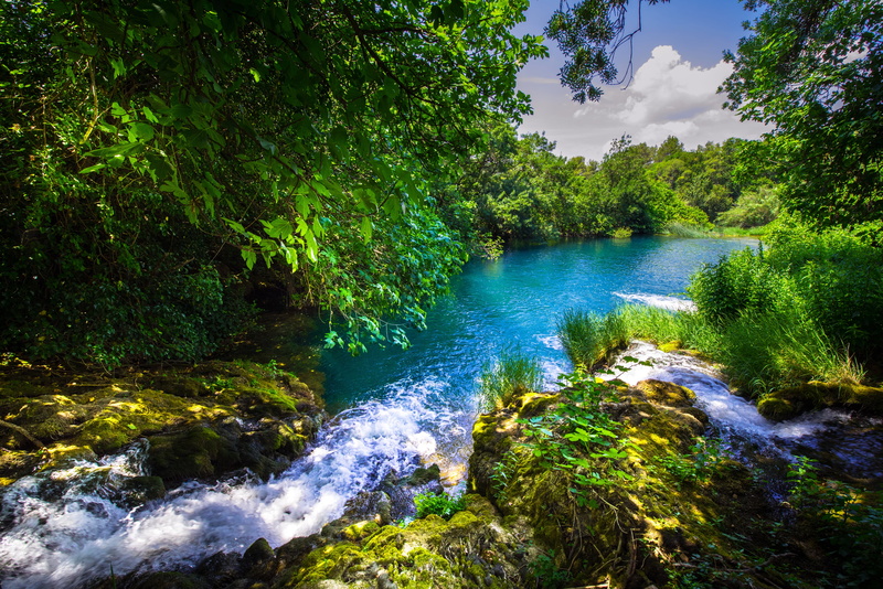 river, the river Krka, Krka National Park, Croatia, Krka River, 5K, forest