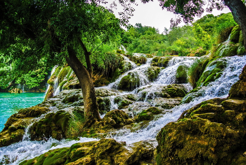 solid, beauty in nature, rock - object, rock, Krka, day, nature, growth, green color, flowing, Croatia, plant, water, no people, outdoors, tree, tranquility