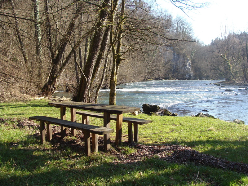bench, tranquility, Nature, lake, beauty in nature, River, park bench, Krka, river krka, trunk, grass, bare tree, table, plant, tree trunk, seat, land