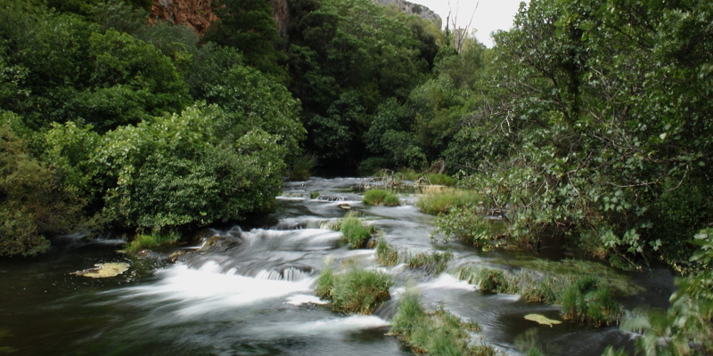 flowing, nature, flowing water, scenics - nature, environment, waterfall, rock, beauty in nature, river, plant, natural, outdoors, stream - flowing water