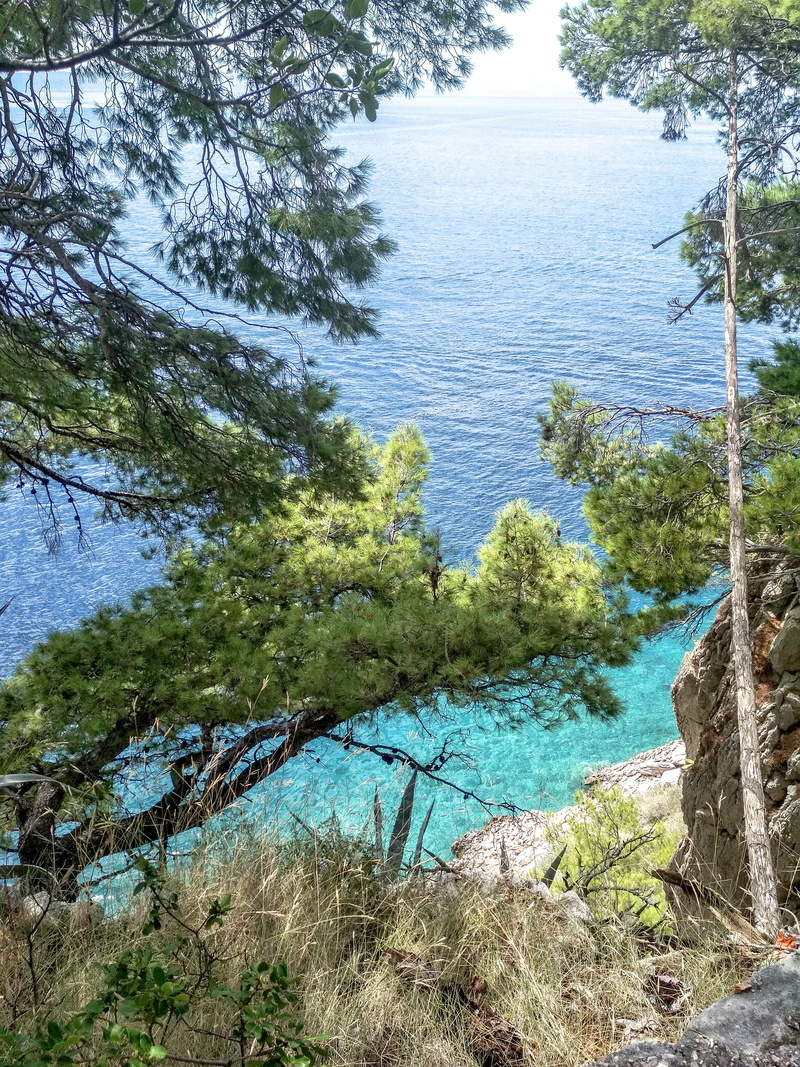 outdoors, tranquility, tree, beauty in nature, lake, croatia, nature, growth, no people, sea, plant, tranquil scene, land, makarska, nature backgrounds