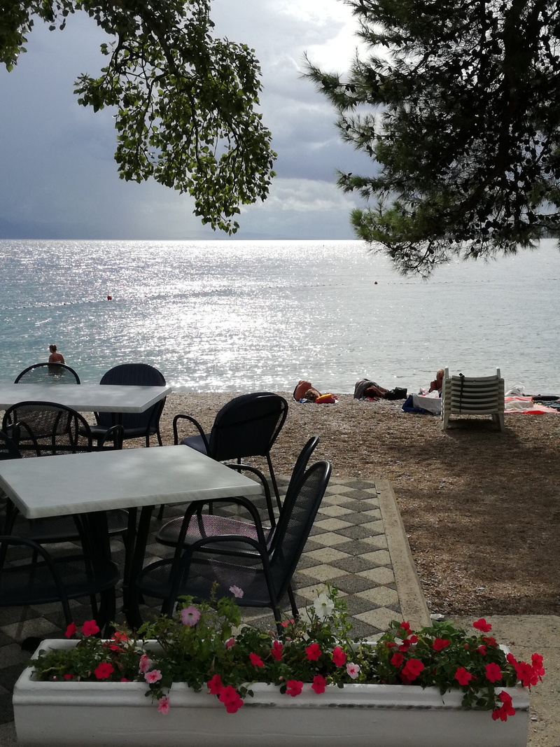 cloud - sky, riviera, growth, beauty in nature, day, croatia, flowering plant, water, flower, plant, outdoors, flower pot, horizon over water, seat, nature