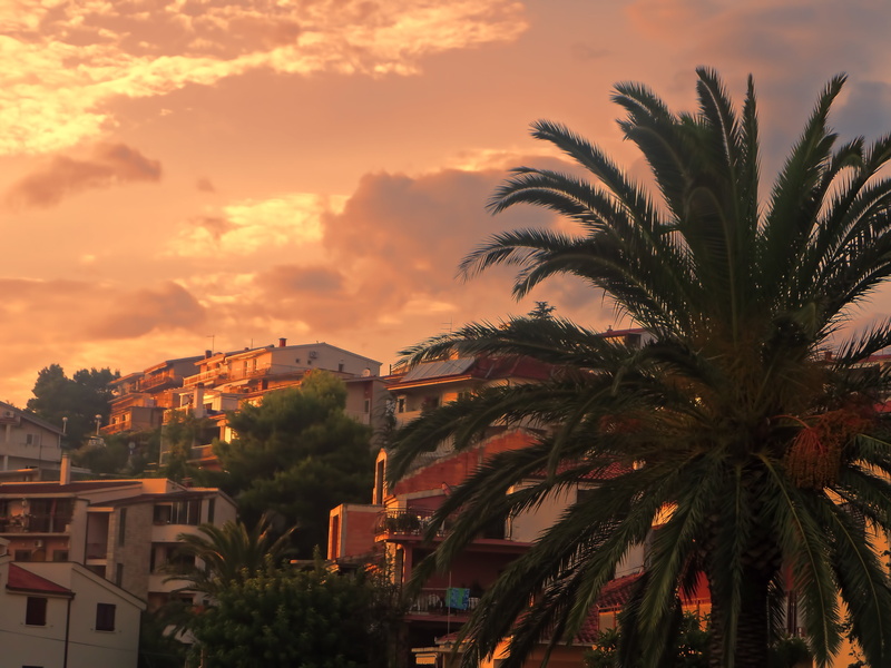 building exterior, residential district, sea, summer, evening, no people, built structure, outdoors, tropical climate, landscape, growth, city, croatia