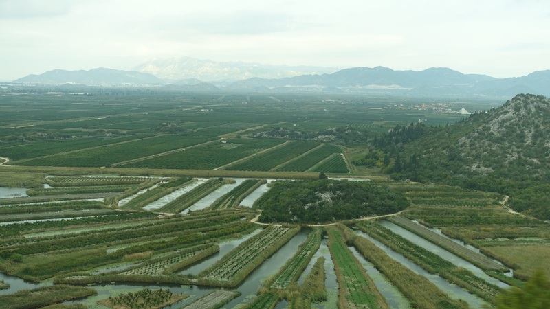 field, green color, mountain range, neretva delta, land, environment, some people dont, rural scene, no people, makarska, day, scenics - nature, sky, 5K