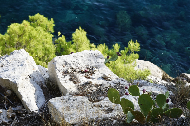landscape, day, beauty in nature, stones, rock, no people, blue, solid, green color, vacation, plant, greenery, makarska, charm, coast, rock - object, water
