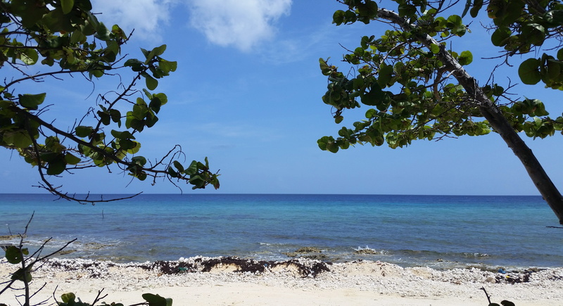 cayman islands, day, island, relax, plant, destination, natural, seaside, caribbean, coastline, beauty in nature, outdoors, Sea, sun, scenics, summer, tropical
