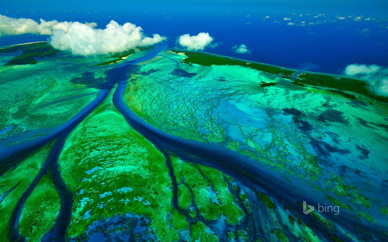 marine, beauty in nature, turquoise colored, underwater, sea life, day, sea, deskto, no people, blue, outdoors, 1080P, channels, scenics - nature, aldabra