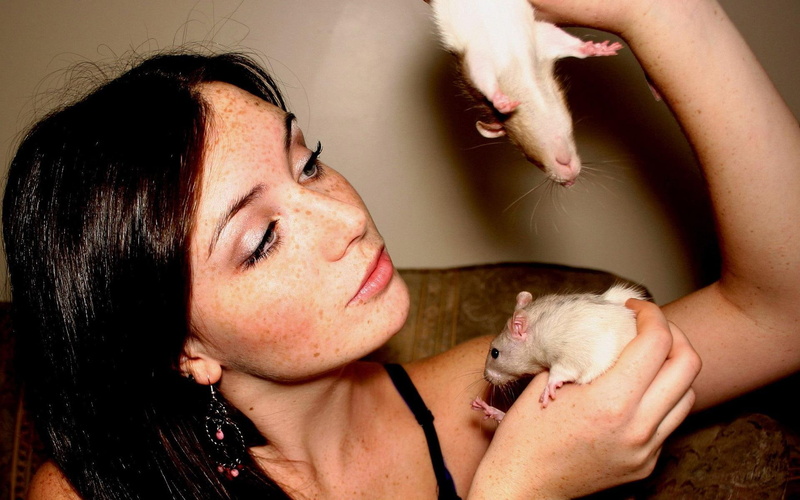 woman, playing, rats, grey, girl, 1080P, rat, 1920x1200, girls