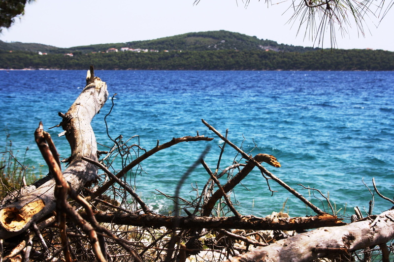 croatia, drift wood, sky, 4K, tranquility, driftwood, day, tranquil scene, trogir, nature, beauty in nature, land, plant, water, tree, outdoors, no people