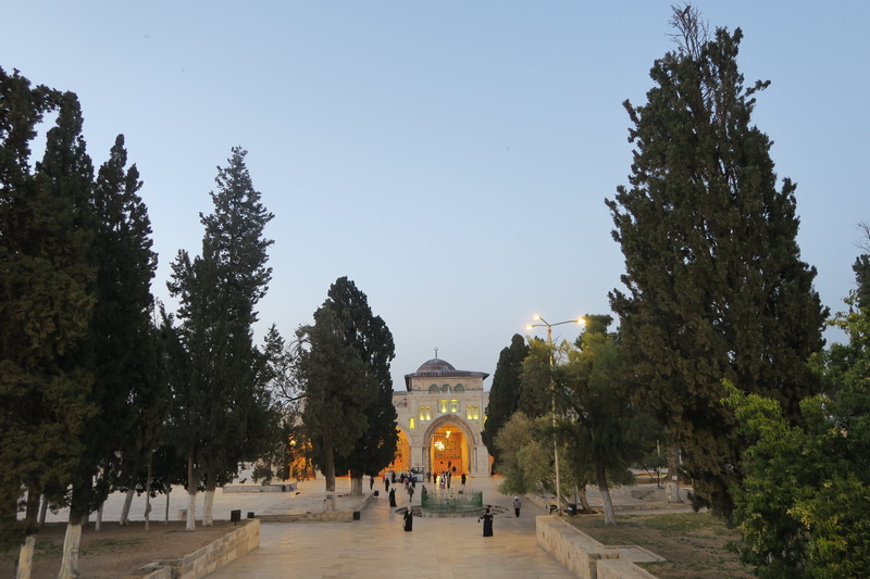 building, belief, religion, masjid, tree, group of people, 5K, sky, built structure, outdoor, building exterior, plant, clear sky, outdoors, nature, day