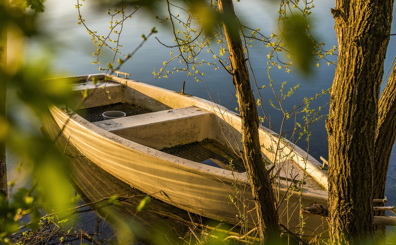 close-up, grass, depthoffield, no people, outdoors, Lake, growth, trunk, Nature, 5K, tree, wooden, Lakes, nautical vessel, Photography, plant, beige, selective focus