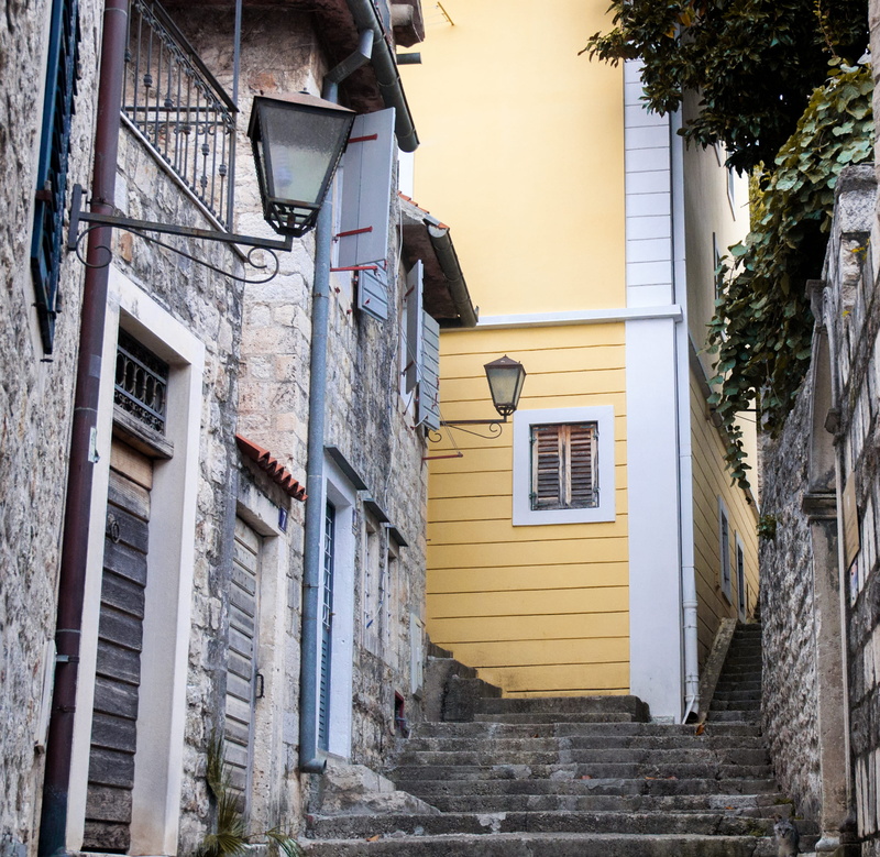 house, city, staircase, montenegro, day, low angle view, window, 2K, alley, building, plant, architecture, the way forward, building exterior, no people